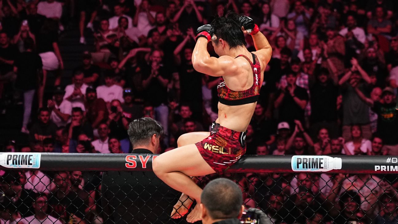 他们的表现 他们的表现